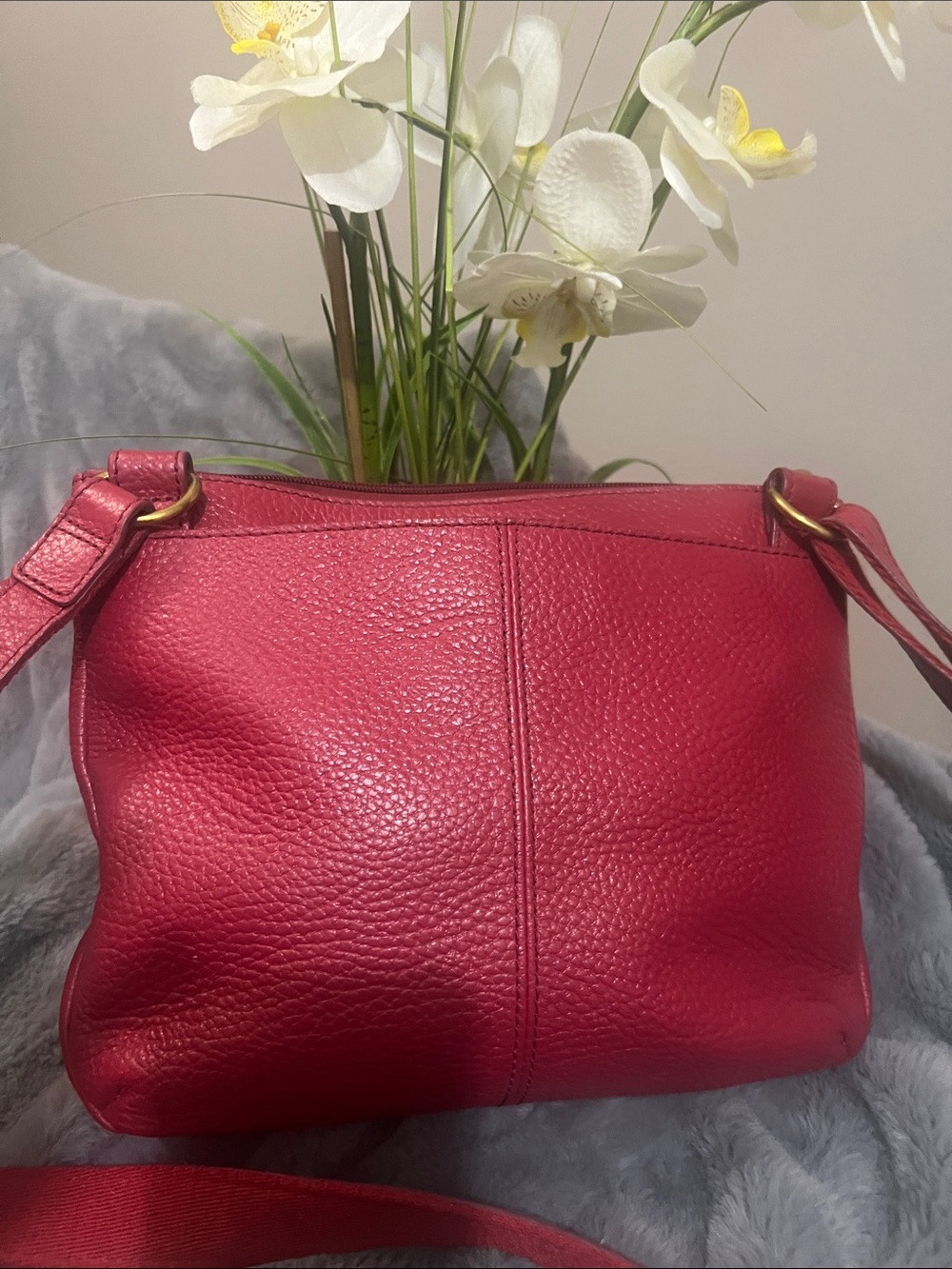Fossil Red Pebbled Leather Crossbody Bag EUC RETAIL $179 - Picture 4 of 9